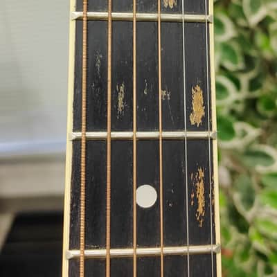 Northland BW41-202YW 2020's Acoustic Guitar - Natural image 7
