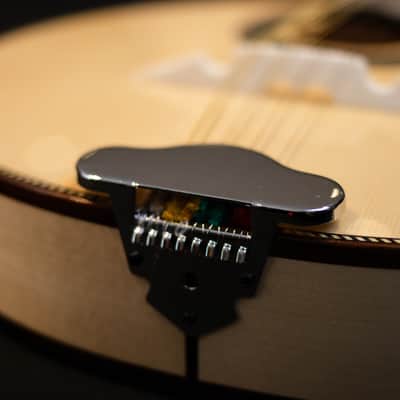 Pedro Santos 8-String Mandolin | Brazil 2024 image 9