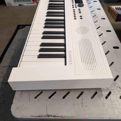 Roland Go:Keys 5 White \ image 4