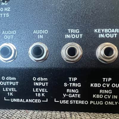 Moog Rogue 1981 - Black Bild 11