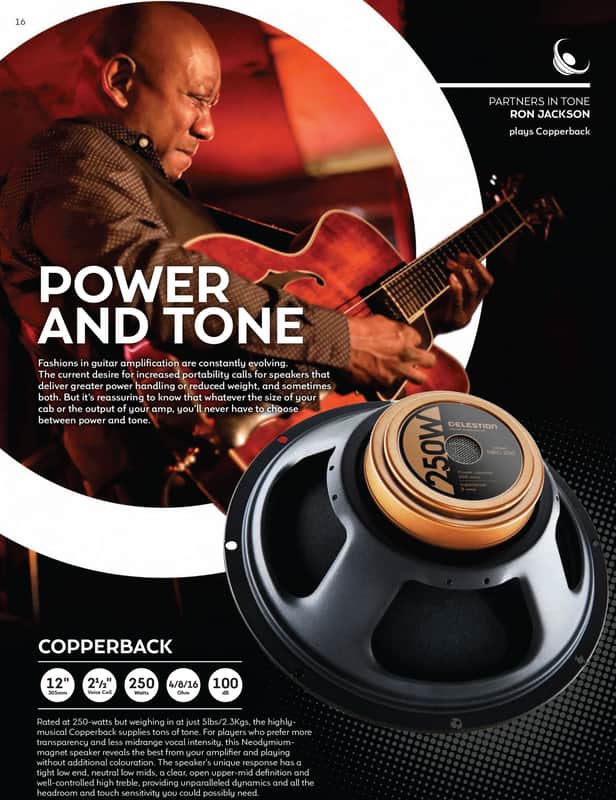 Celestion Neo 250 Copperback 12