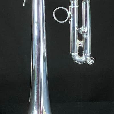 BERKELEY Raw Brass STD Eb/D Trumpet w/ Extra Silver D Bell 2019ish - SILVER PLATED image 15