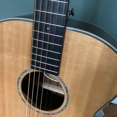 Breedlove Pursuit Exotic Concert E K Electro Acoustic Guitar + Gig Bag LR Baggs image 7