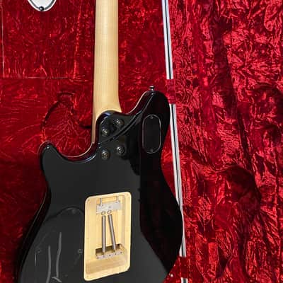 Evh Wolfgang Special stainless steel frets image 5