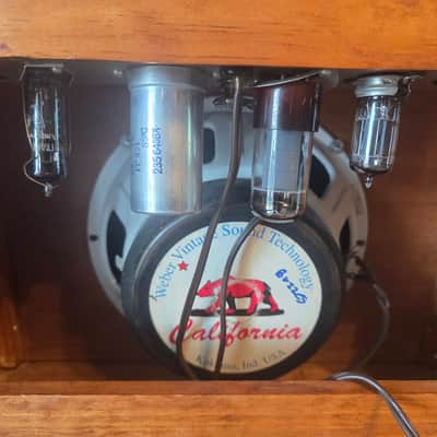 DeArmond Rowe Amplifier 10" Combo Super RARE, Tube Driven Tremolo Circuit R5t 1959-1962 - copper image 7