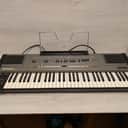 Roland HS-60 61-Key Programmable Polyphonic Synthesizer 1985 - 1989 - Gray