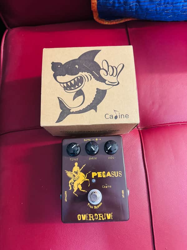 Caline CP-43 Pegasus Overdrive 2010s - Brown image 1