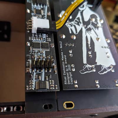 Ritual Electronics Miasma Distortion + Crime II Expander (LP, HP, All-Diodes Knobs) - Black image 8