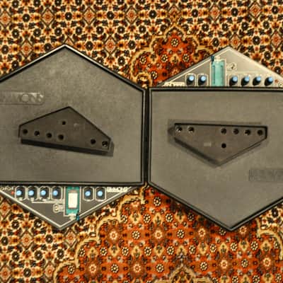 Simmons SDS1 x2 w/ EPROMS, etc. image 3