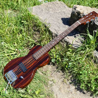 Specimen Luddite Six String Bass image 1