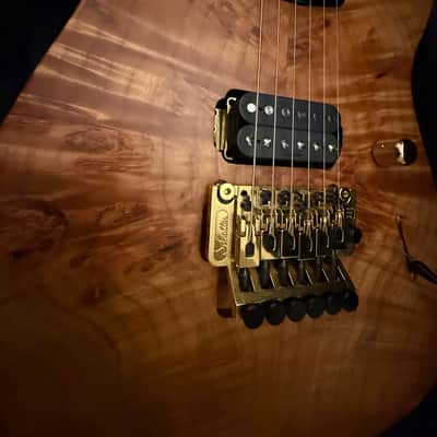 Caparison Dellinger-SH-BM Custom Line 2025 - Very cool image 15