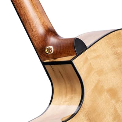 Cort GA-MY Bevel Natural Gloss image 8