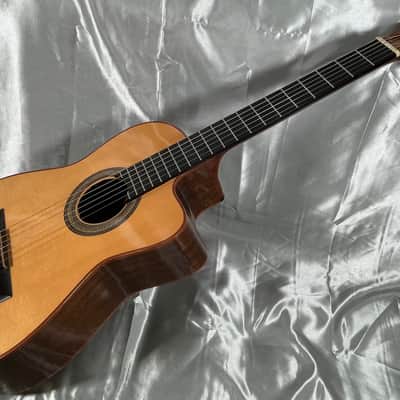 1998 Buscarino Cabaret Acoustic Electric Classical Nylon Flat Top Guitar w/ Original Hard Shell Case image 6
