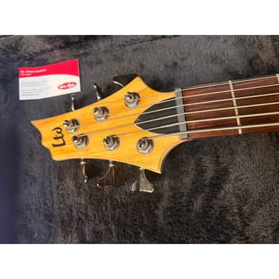 ESP LTD B-206SM 6-String Bass Spalted Maple Body with Roadrunner Hardcase! image 5