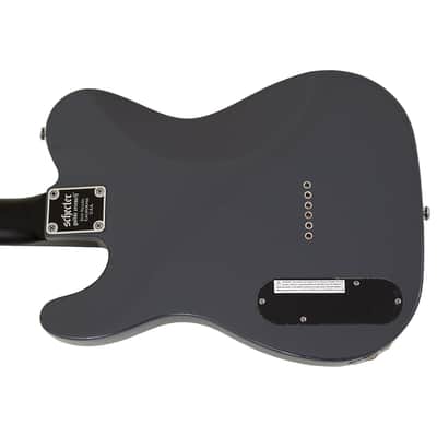 Schecter PT EX guitar in Dorian Gray B-Stock 0710 image 6