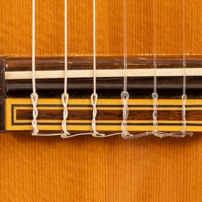 Daion GC 20 (Yamaki Built) image 4