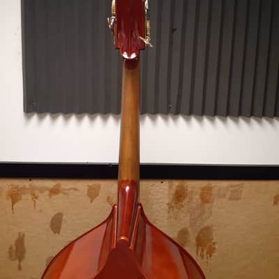 Eastman Upright Bass VB80 image 7