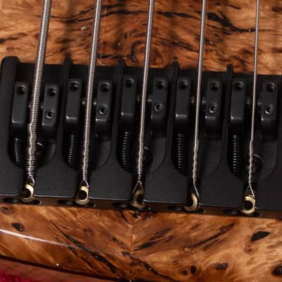 【new】AV BASSES / AVJ5m Burl Poplar 4.025kg #AVJ5m-2025-01【GIB Hyogo】【price included SHIPPING & IMPORT TAX & VAT】 image 8