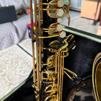 Amati Kraslice TS 32 2000s - Black image 3