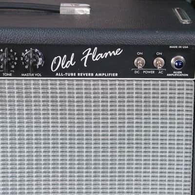 Immagine Allen Amplification Old Flame 2x10 Reverb - 3