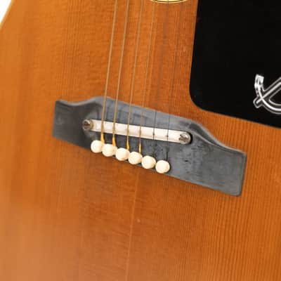Epiphone Cortez Acoustic Guitar Owned by Tom Renaud of Lord Huron image 12