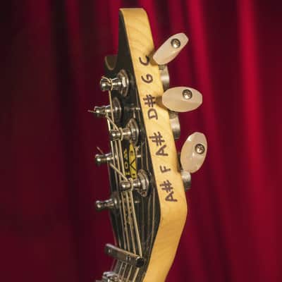 EVH Japanese Wolfgang Special Left Handed - owned by Mikey Demus image 7