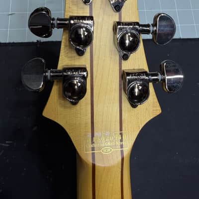 Schecter Banshee-6 FR Active 2013 - 2015 - Trans Black Burst image 14