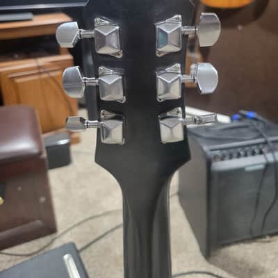 Jim Cat Les Paul Style TIGER FUR image 4