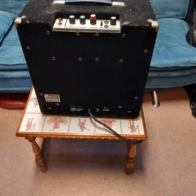 Polytone Mini Brute image 5