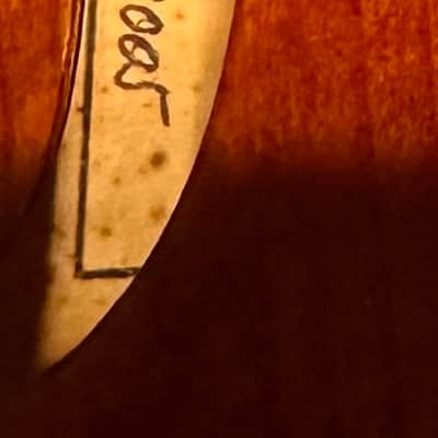 Walter E. Sandner 7/20 Violin Anno 2005 w/ Case image 7