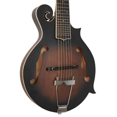 Gold Tone F-Style 6-String Acoustic Electric Mandolin-Guitar w/ Hard Case image 2