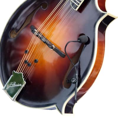 "THE FEATHER" MANDOCELLO PICKUP with FLEXIBLE MICRO-GOOSE NECK by Myers Pickups by Myers Pickups image 3