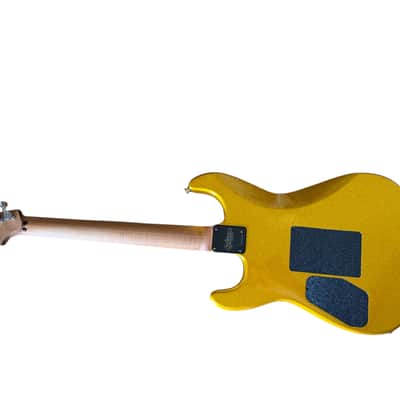 USA Custom Splawn SS1 Gold Sparkle 2026 - with Custom Locking Hard Shell Case image 7