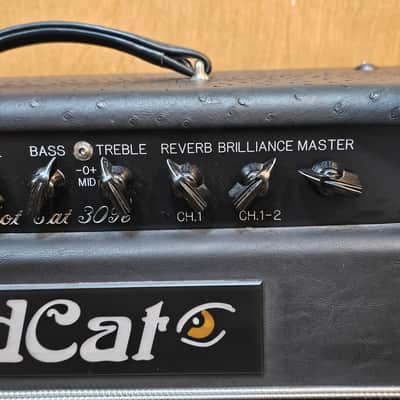 Bad Cat Hot Cat 30R RARE Ostreich Tolex image 6
