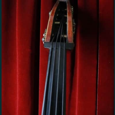 Double bass Hand made  3/4 1950-1960 image 5