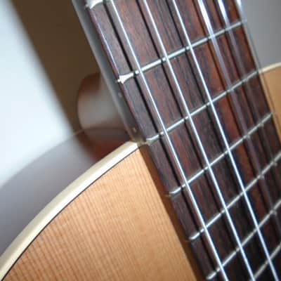 Godin Motif nylon string guitar sf image 4