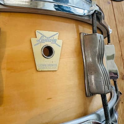 Ludwig LS401 - Classic Maple 5x14 image 2