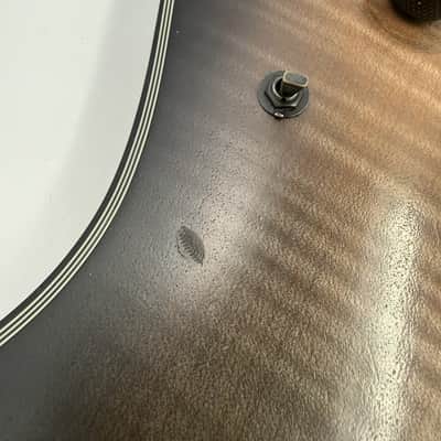 Ibanez SIX6DFM-DCB Iron Label image 3