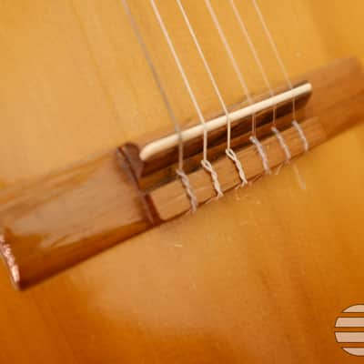 C. Swagemakers 4/4 Classical Guitar - Made in Schiedam, the Netherlands 1965 image 8