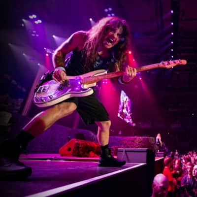 Tech 21 Steve Harris SH1 Signature SansAmp image 4