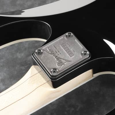 Ibanez : PGM333 Paul Gilbert 30th Anniversary image 5
