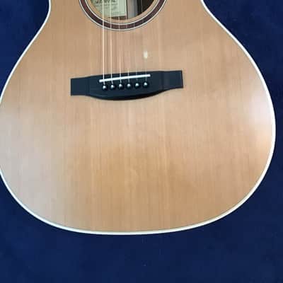 Lakewood Natural Series M-14 CP image 1