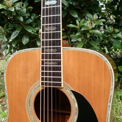 1976 Yairi YW-600 Dreadnought Guitar New Jacaranda + Vintage Hard Case image 3