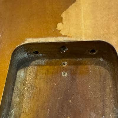 1992 Relic American Fender Strat Plus Stratocaster Alder Body image 10