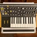 Moog Subsequent 25 Analog Synth 2023 - Black