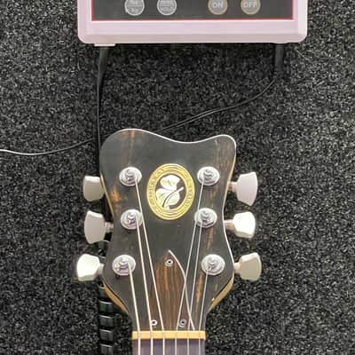 Pat Murray Guitar Co M1-CT-GT 2009 image 4
