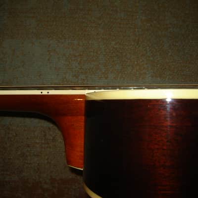 Wechter NV5413 Parlor Nashville image 7