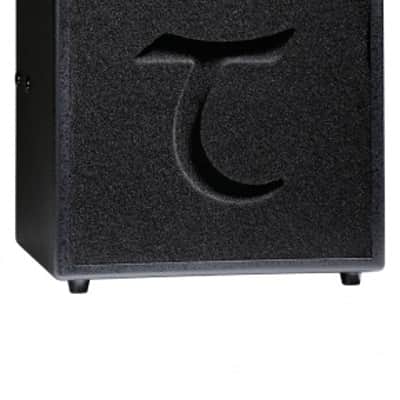 Tanglewood TW6 Acoustic Amplifier image 1