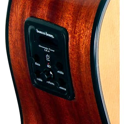 Washburn AD5CEPACK Acoustic Guitar Pack, Natural image 5