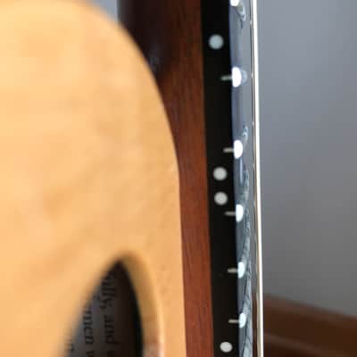 Tacoma M-1E Mandolin - Acoustic/Electric w/Hardshell Case image 10